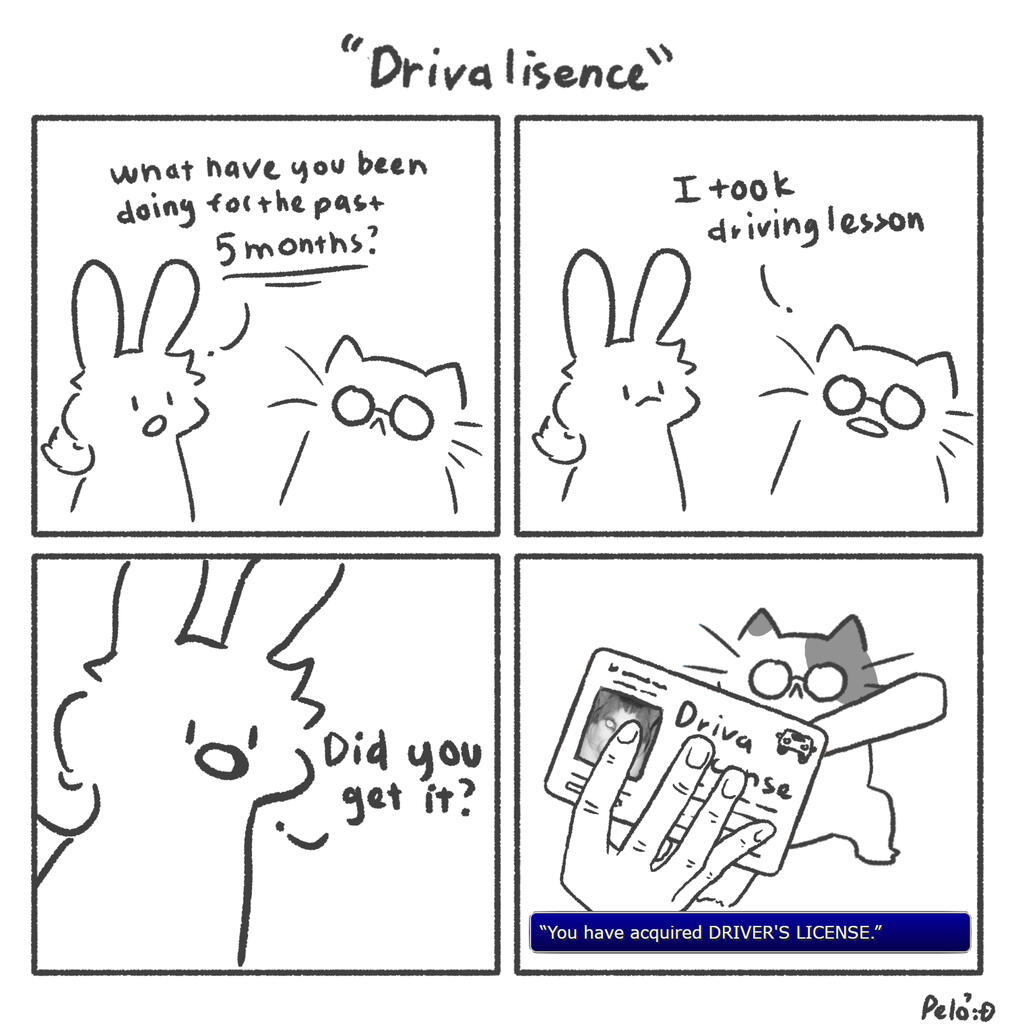 Driva lisence